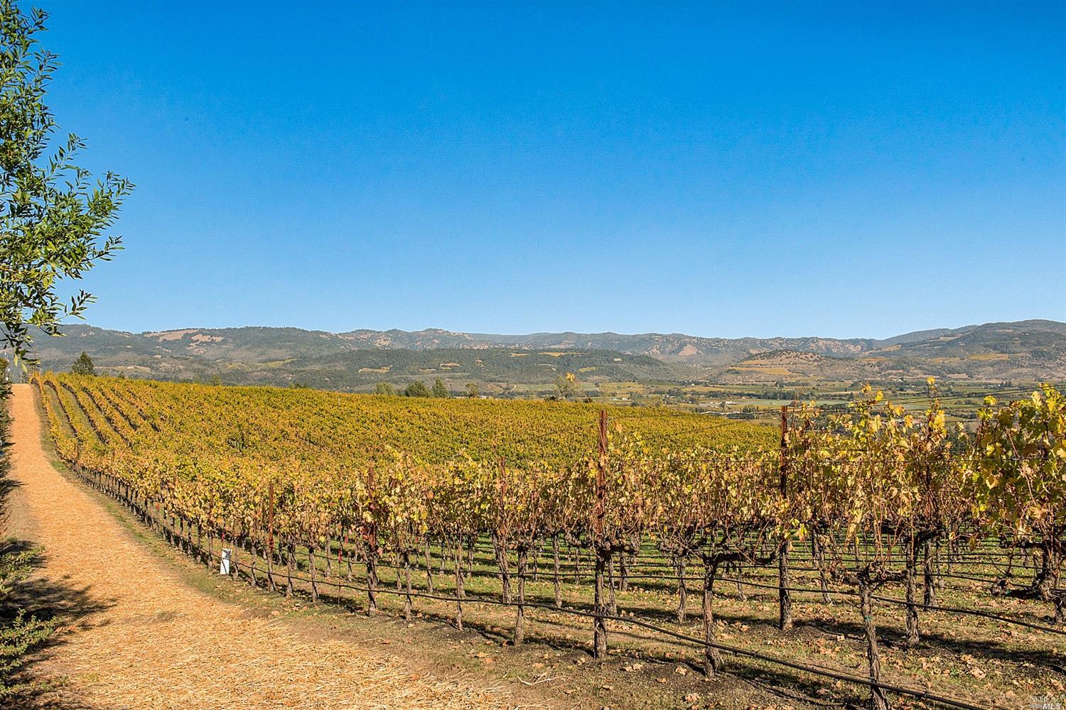 1780 Whitehall Lane St. Helena CA 94574