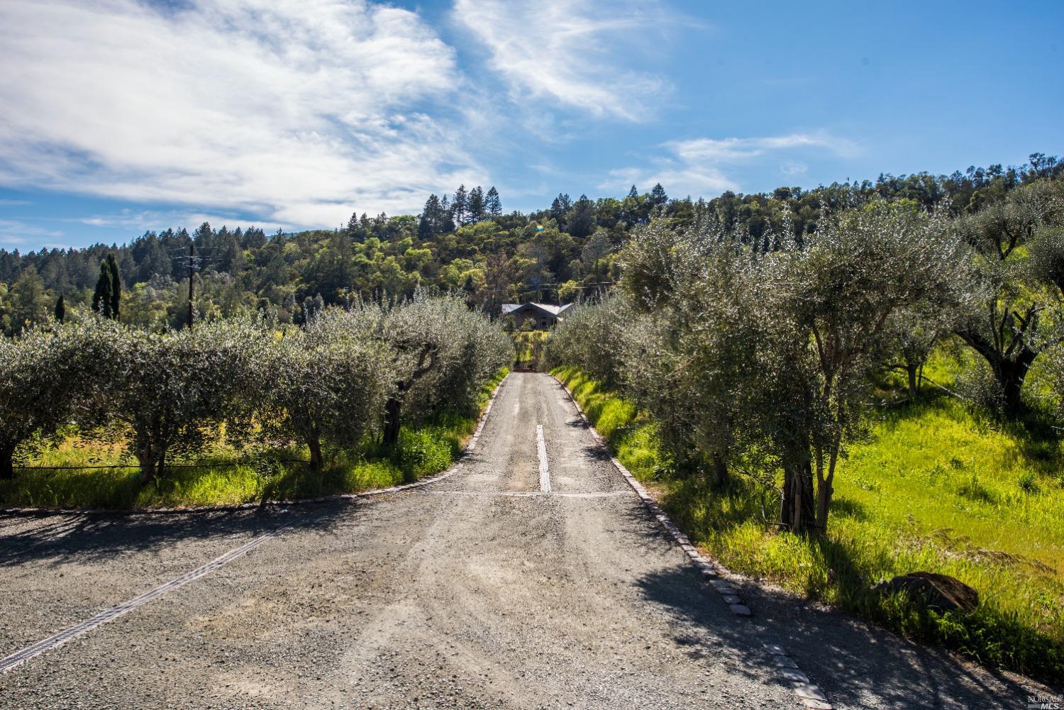 1780 Whitehall Lane St. Helena CA 94574