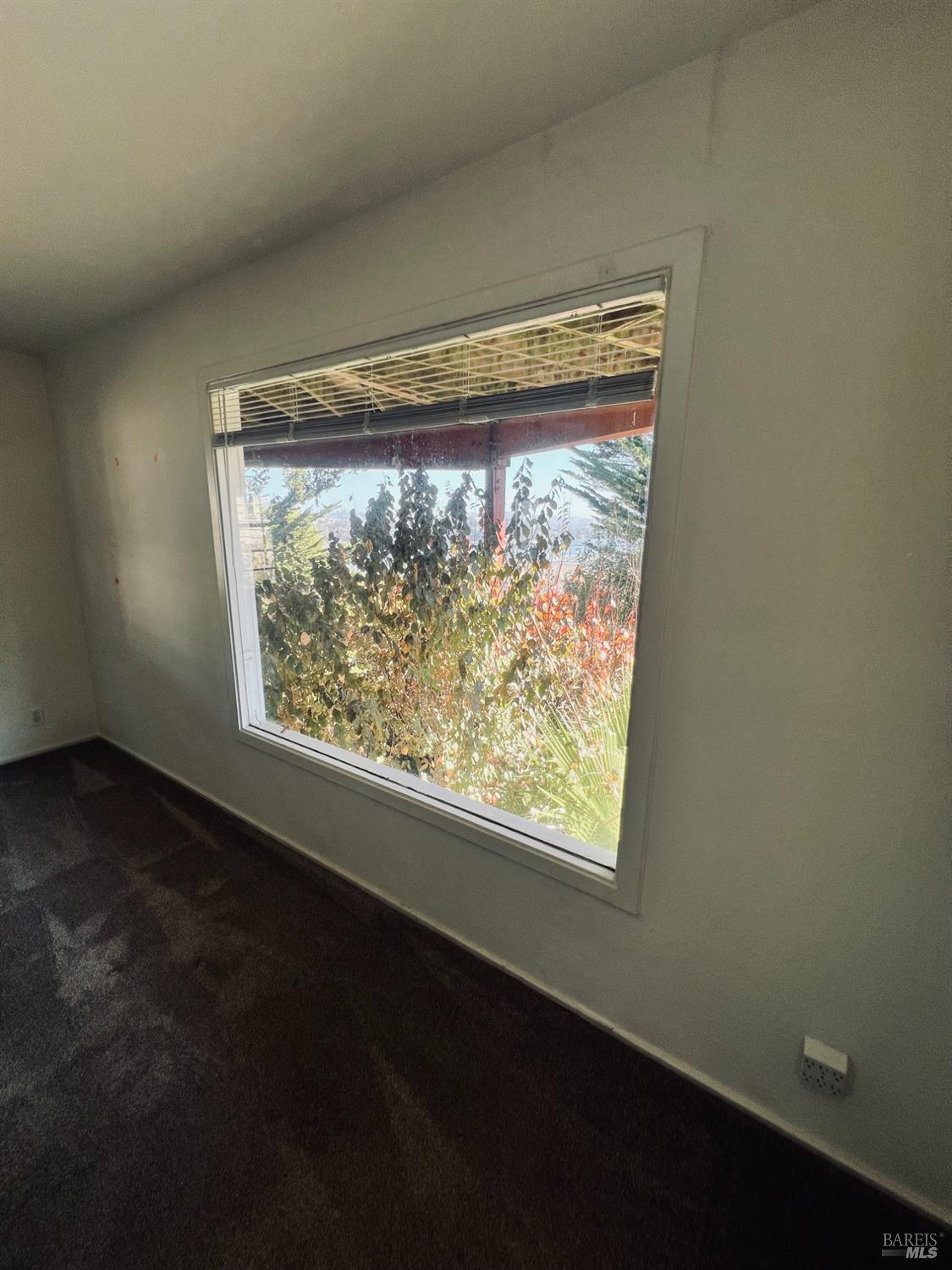 257 Greene Street Mill Valley CA 94941