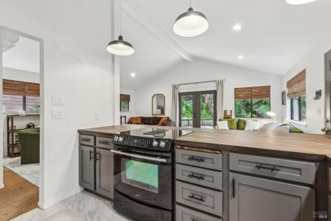 10 Angelica Court Novato CA 94947