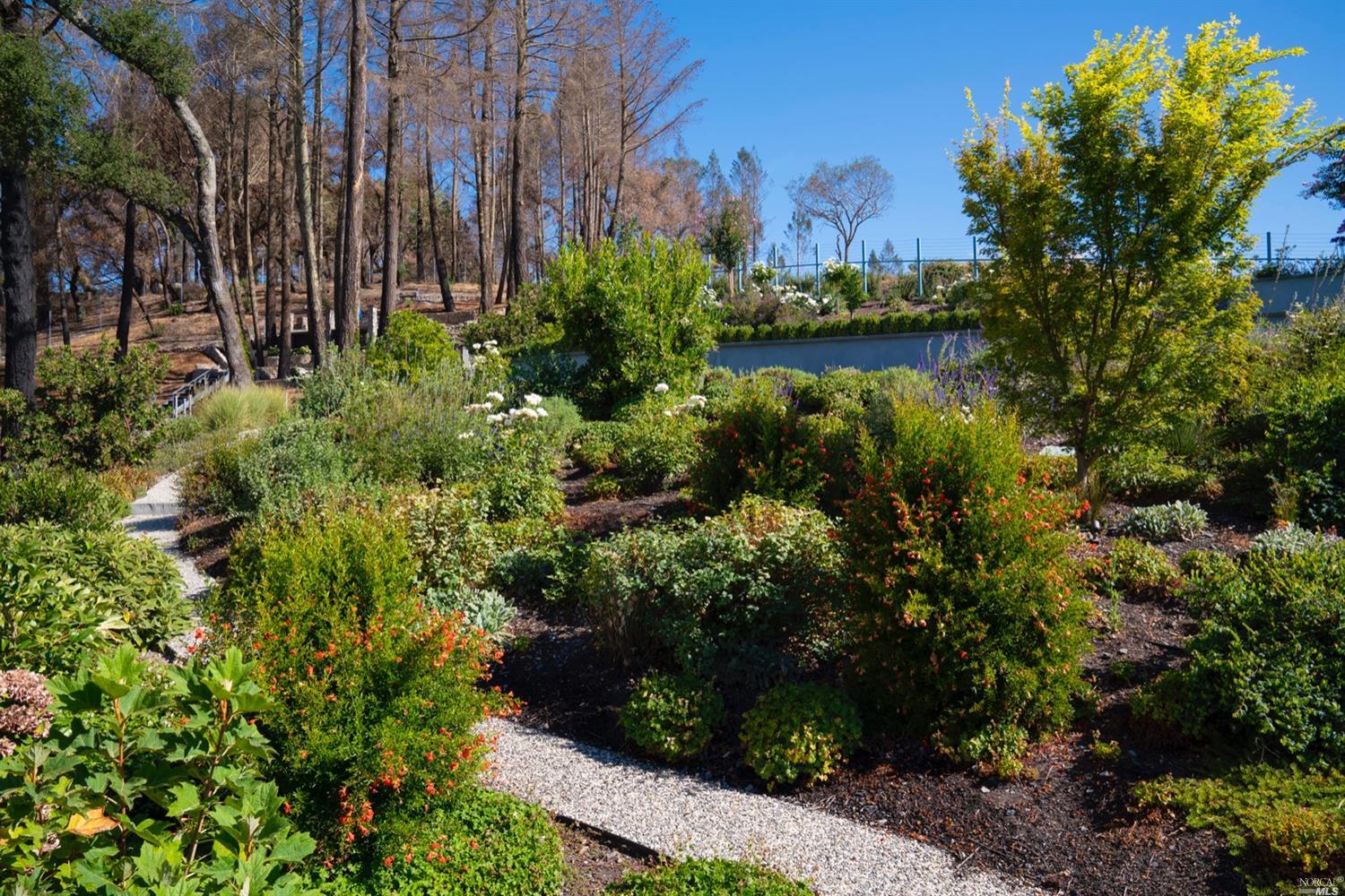 9 Bournemouth Road St. Helena CA 94574