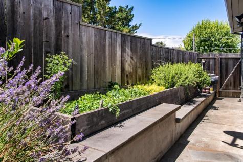 208 Reed Boulevard Mill Valley CA 94941