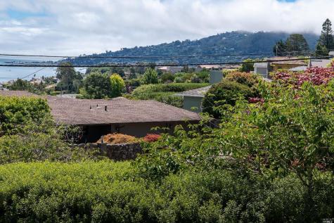 208 Reed Boulevard Mill Valley CA 94941