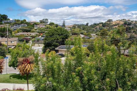 208 Reed Boulevard Mill Valley CA 94941