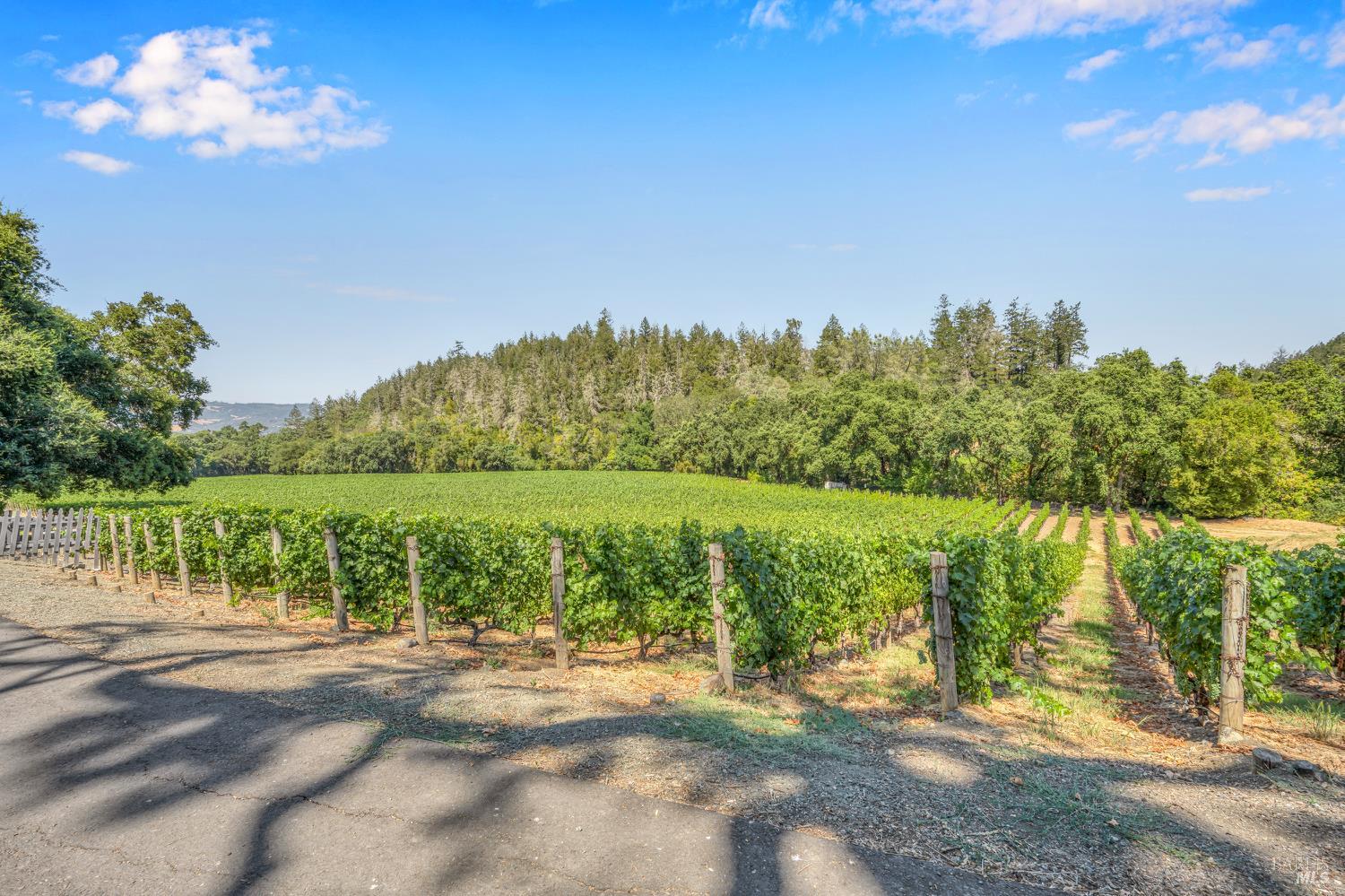 1623 Whitehall Lane St. Helena CA 94574