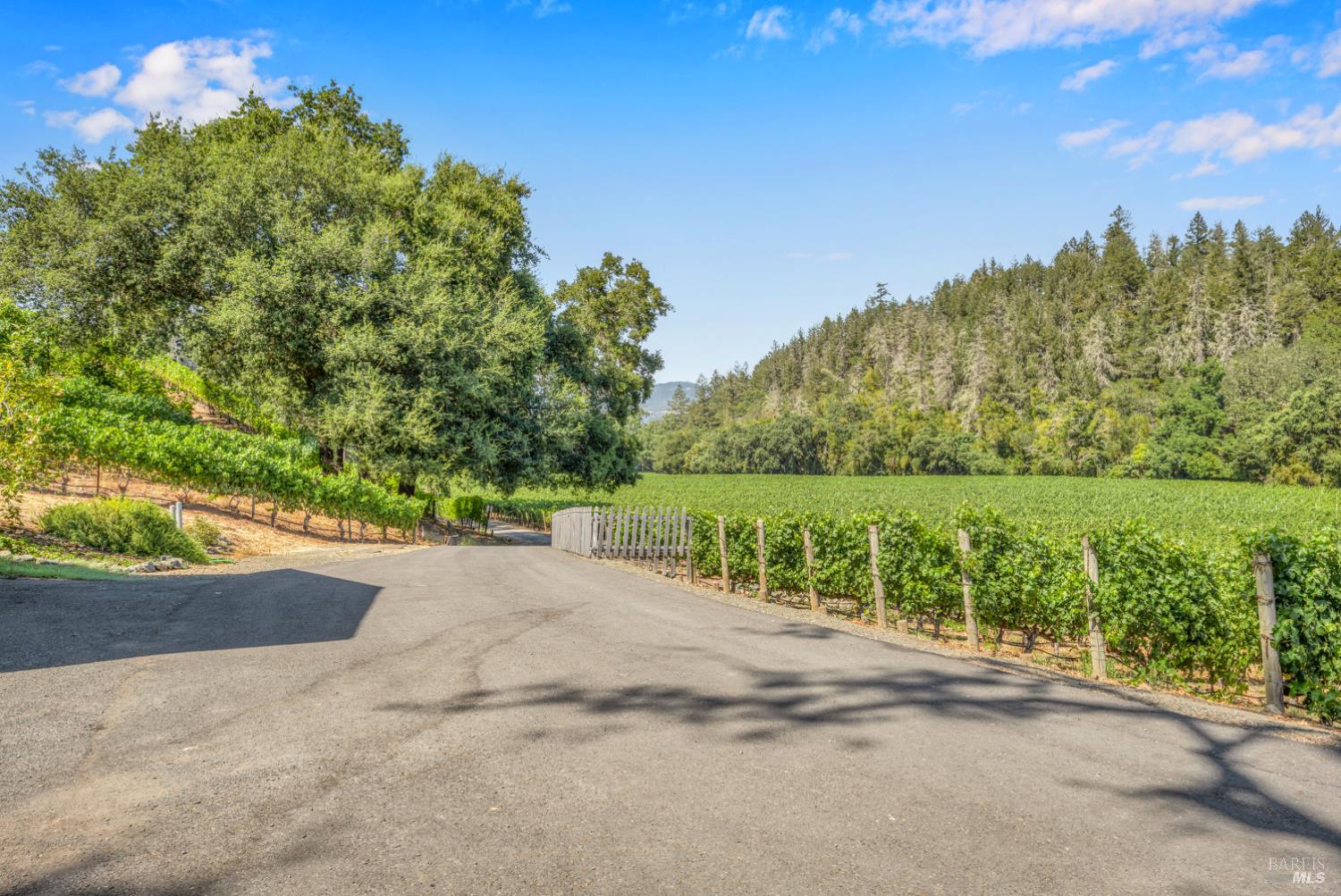 1623 Whitehall Lane St. Helena CA 94574