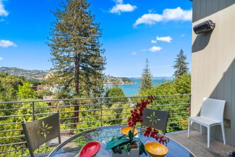 408 Golden Gate Avenue Belvedere CA 94920