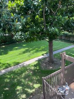 25 Salvatore Drive Novato CA 94949