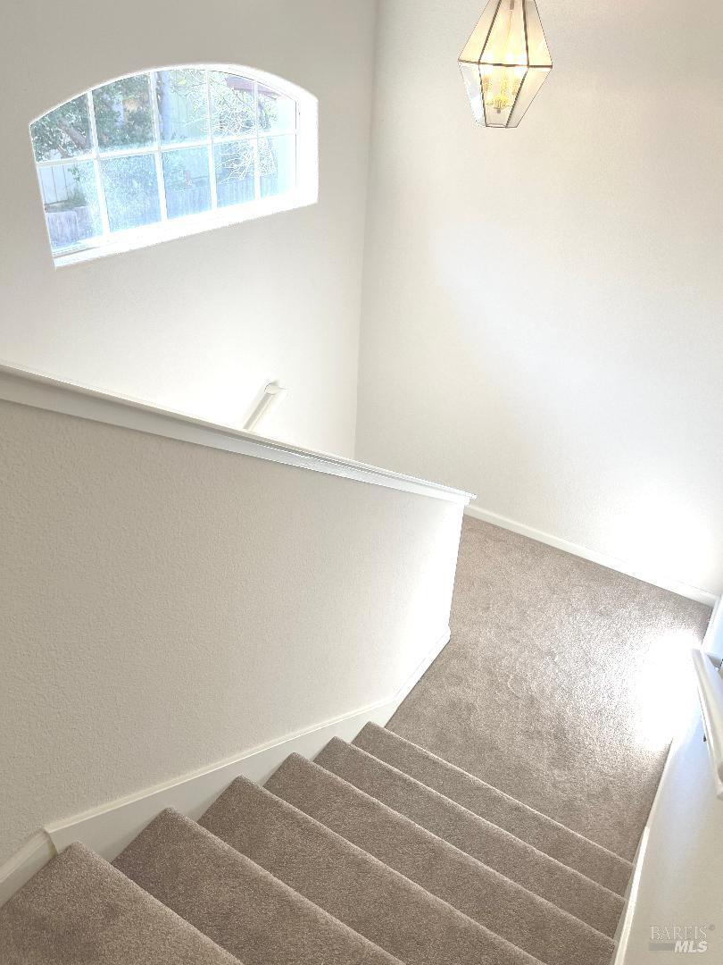 8 Monterey Court Novato CA 94945