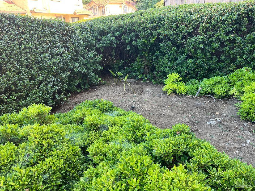 8 Monterey Court Novato CA 94945