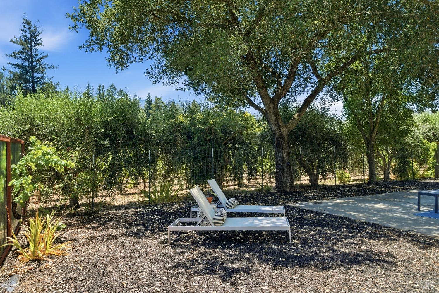 1121 Valley View Street St. Helena CA 94574