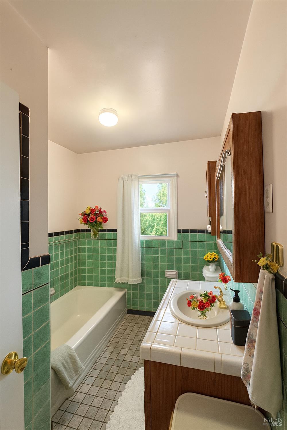 1231 Stevenson Street Calistoga CA 94515