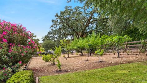 15644 Arnold Drive Sonoma CA 95476