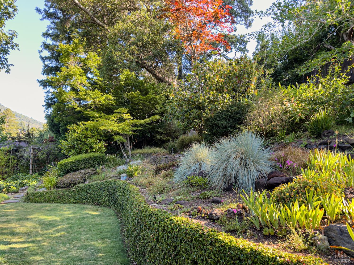 Mill Valley CA 94941