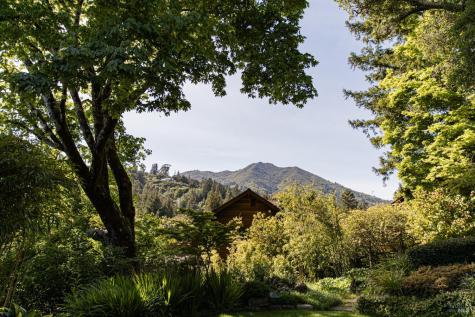 Mill Valley CA 94941