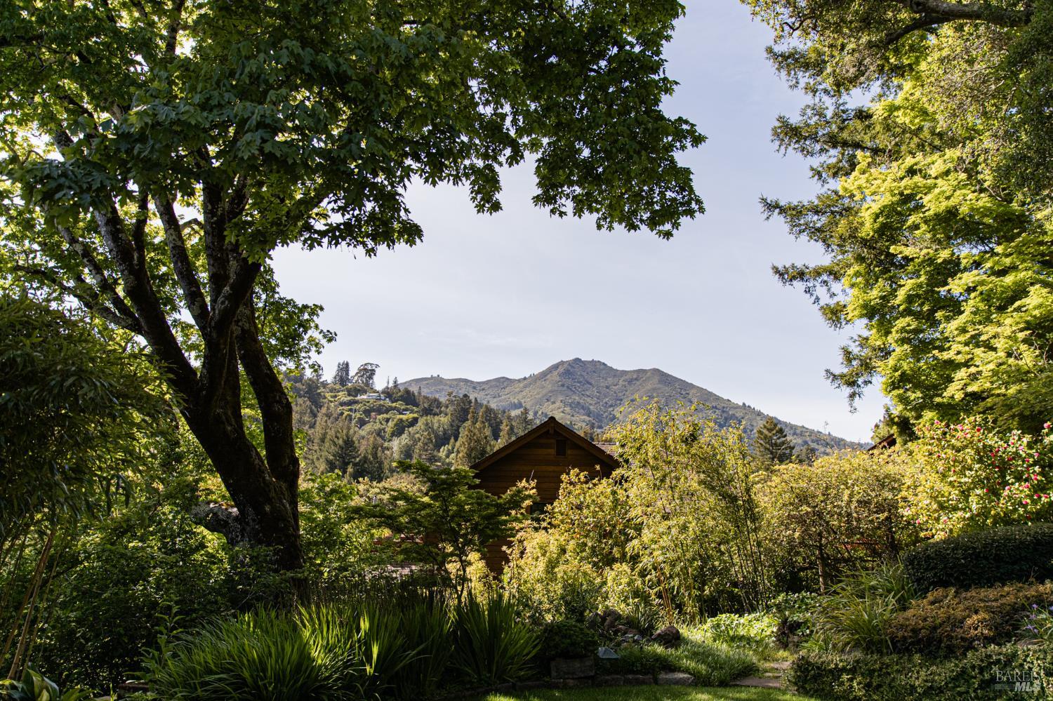 Mill Valley CA 94941