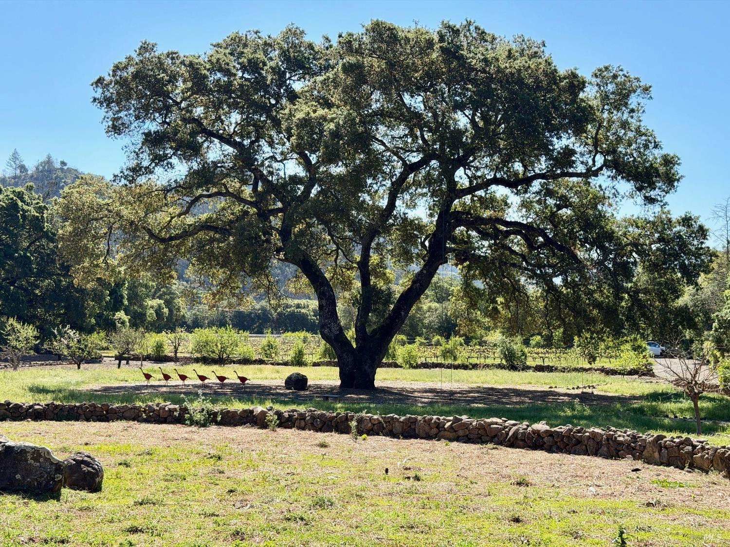 321 Dutch Henry Canyon Road Calistoga CA 94515