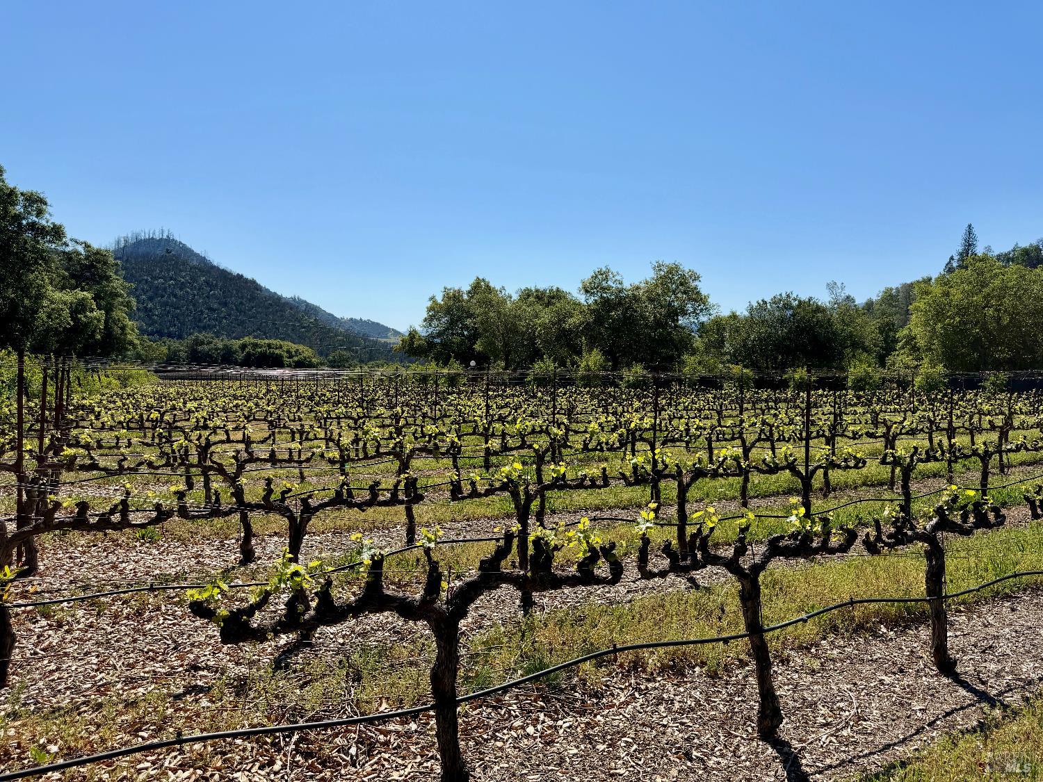 321 Dutch Henry Canyon Road Calistoga CA 94515