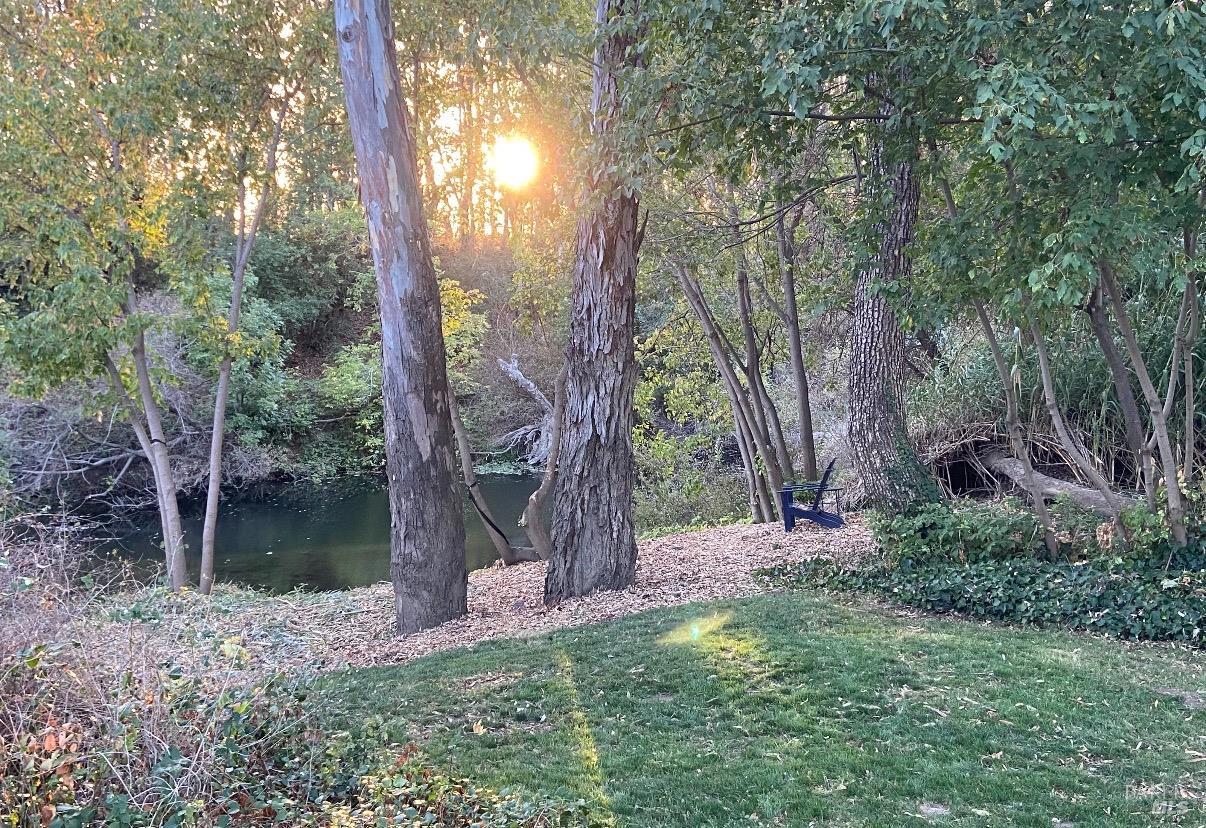 Napa CA 94558