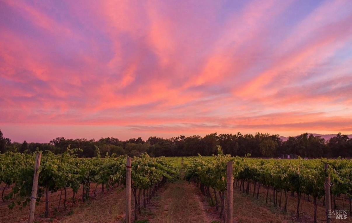 Napa CA 94558
