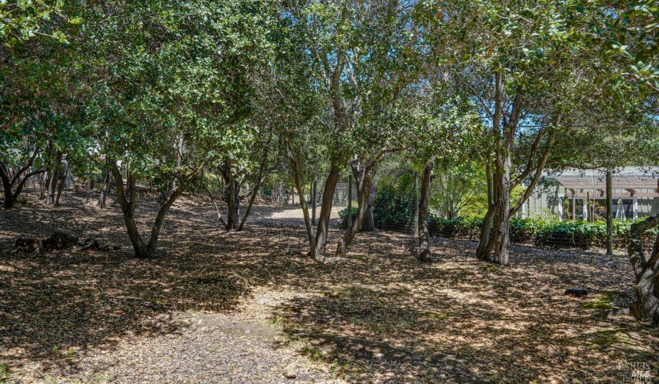3 Oak Grove Way Napa CA 94559