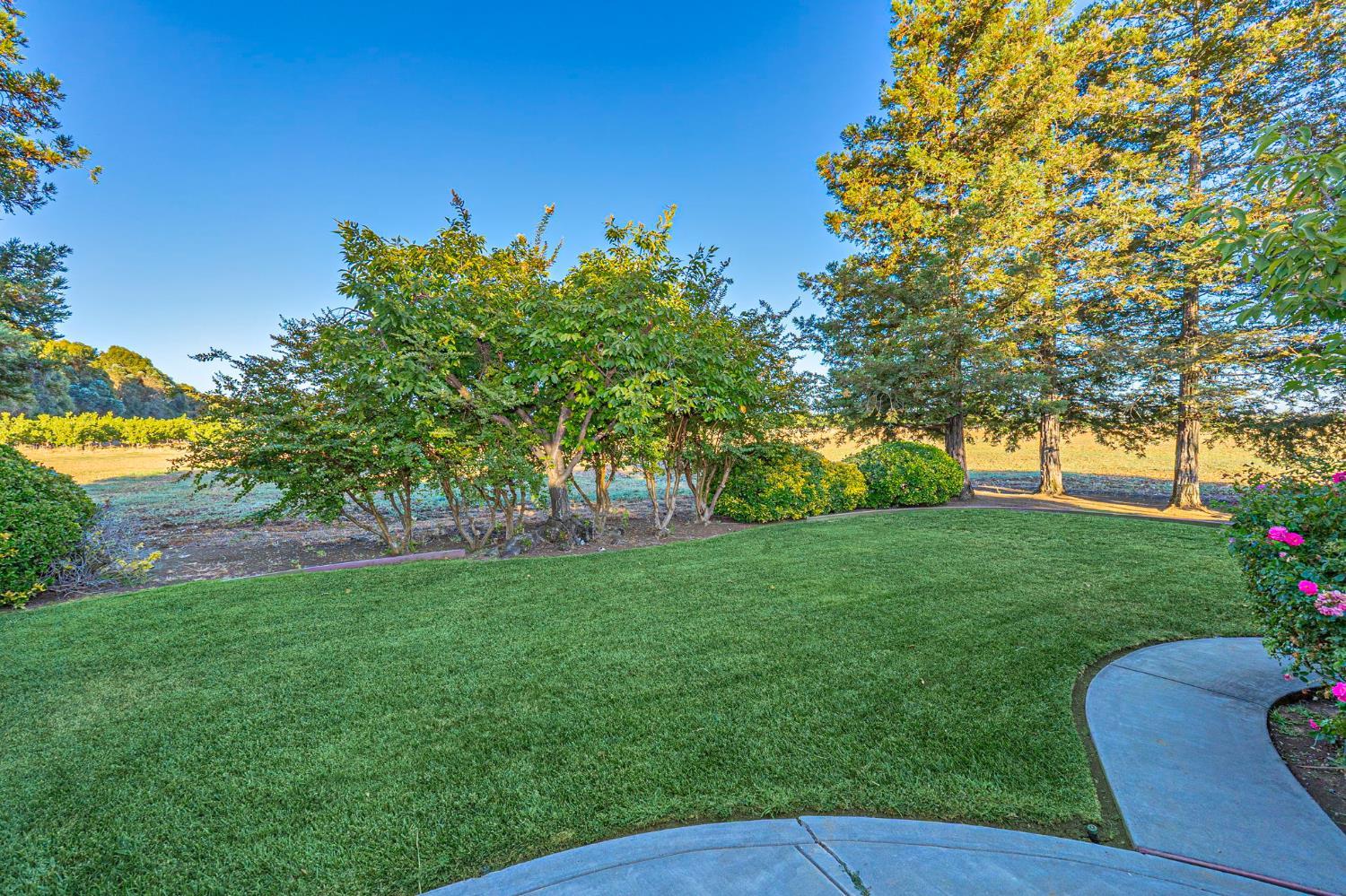24540 County Road 95 Davis CA 95616