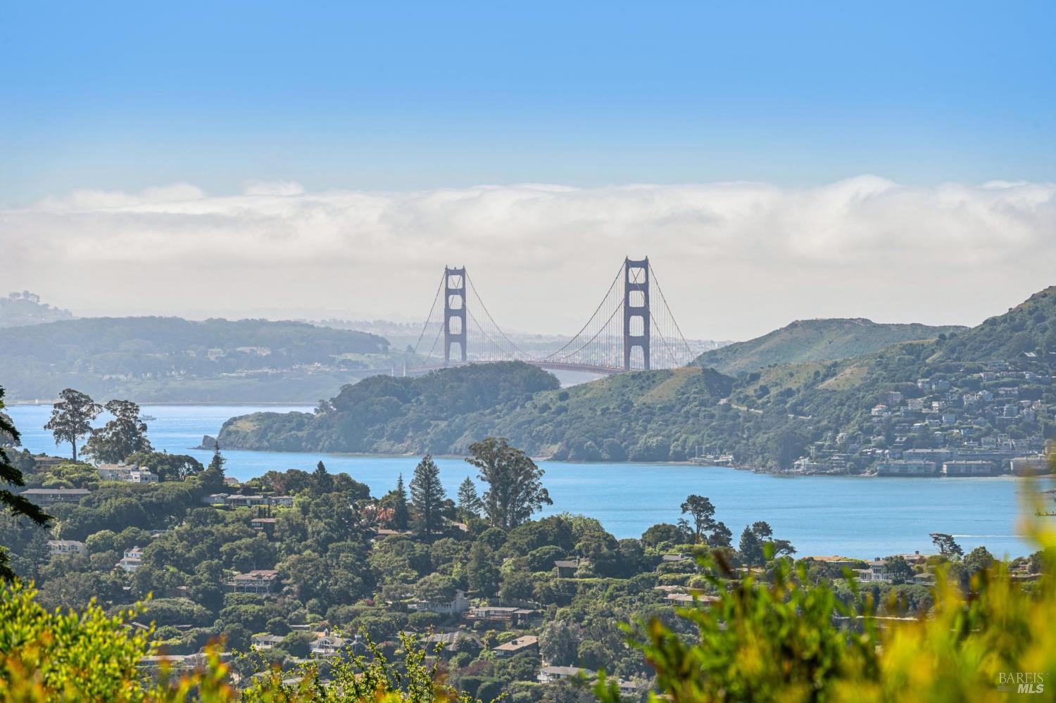 138 Gilmartin Drive Tiburon CA 94920