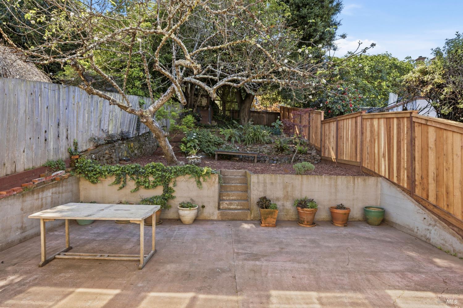 31 Acacia Avenue Belvedere CA 94920