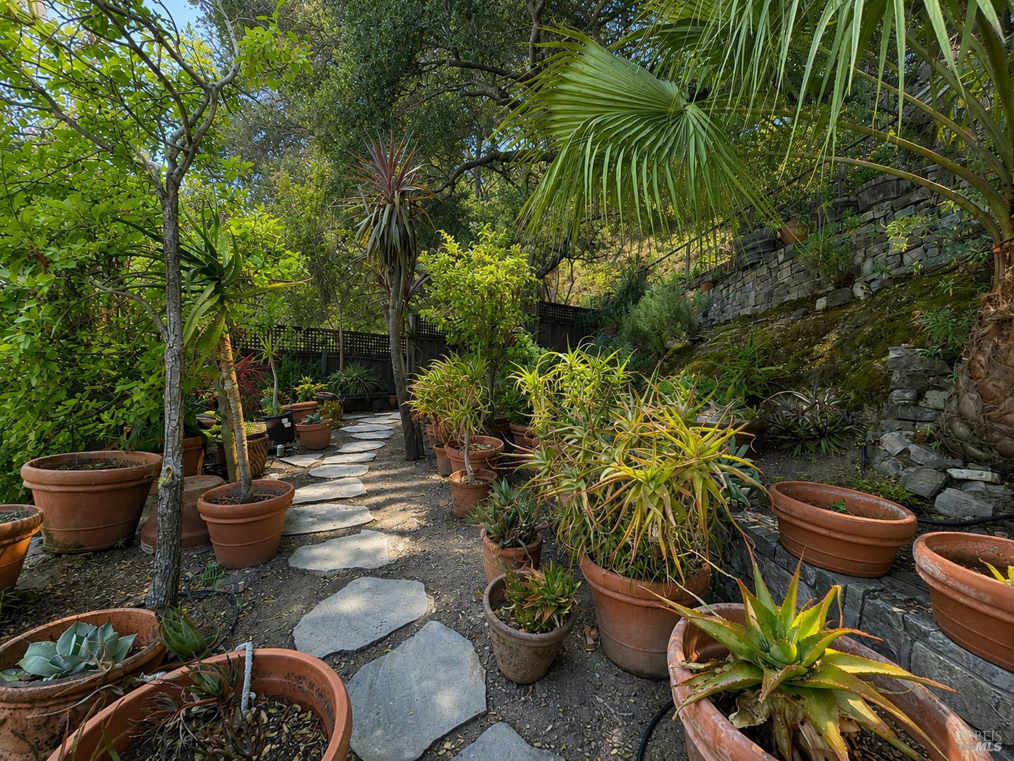 200 The Alameda San Anselmo CA 94960