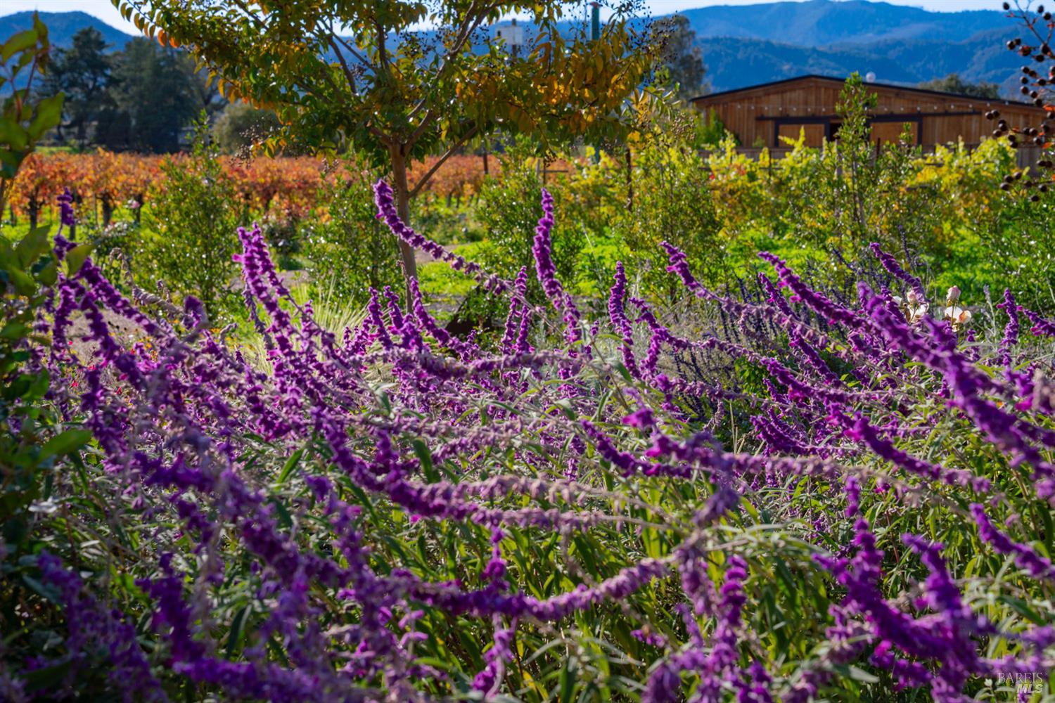 6161 Silverado Trail Napa CA 94558