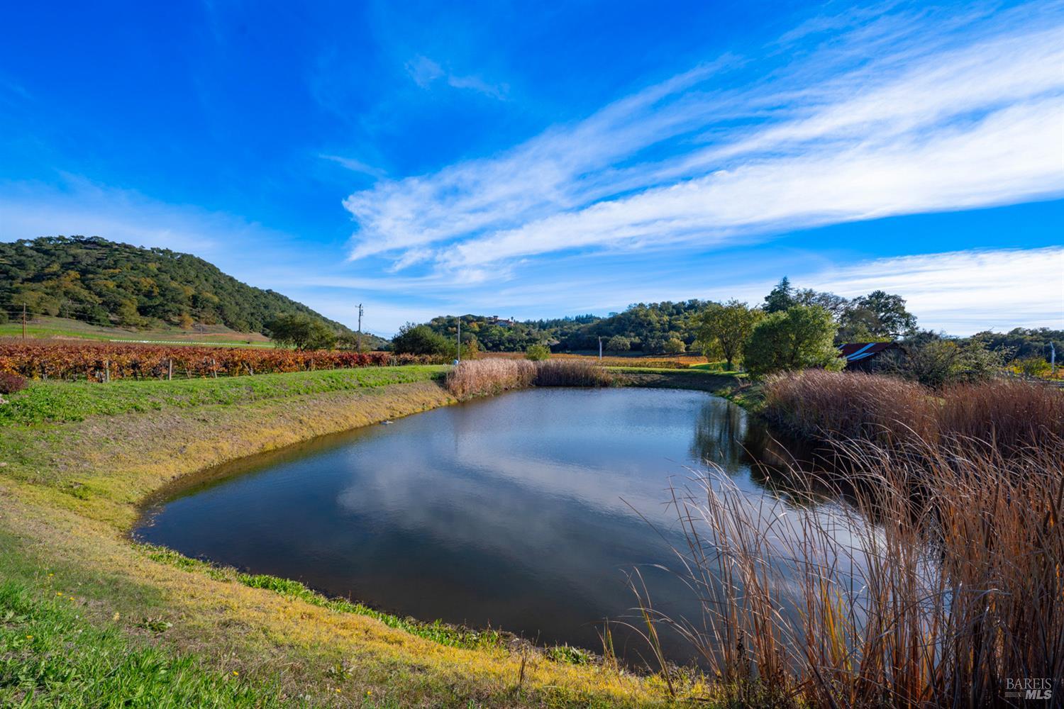 6161 Silverado Trail Napa CA 94558