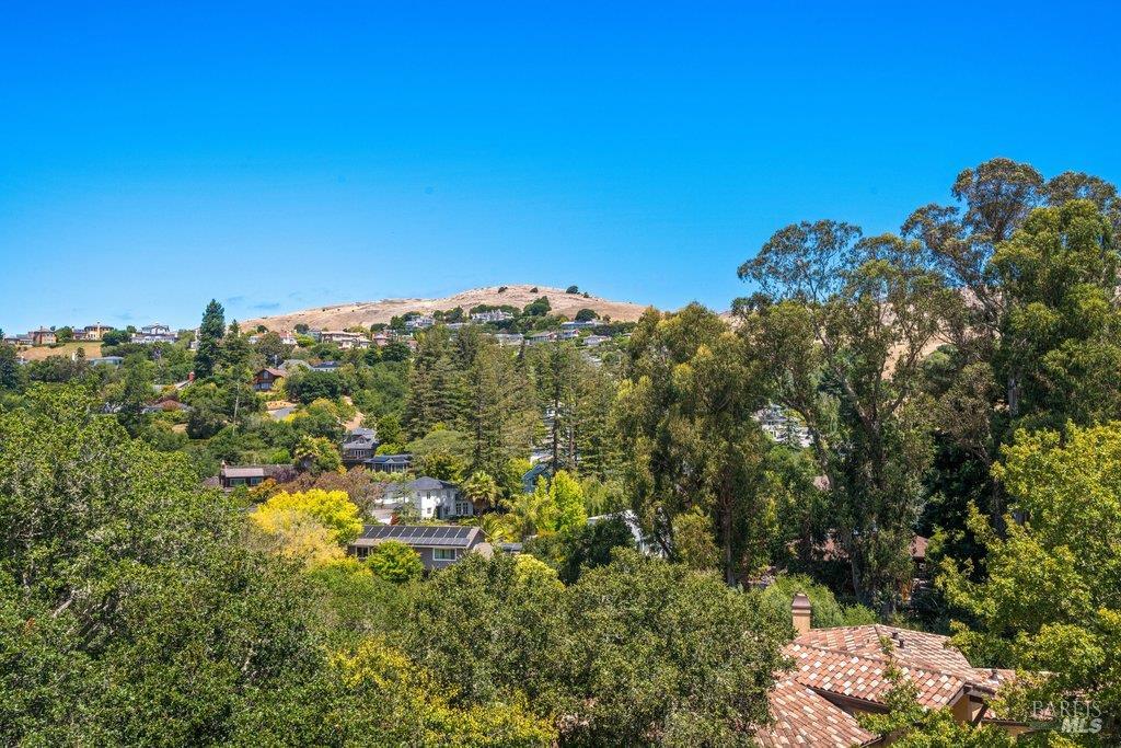 10 Warrens Way Tiburon CA 94920