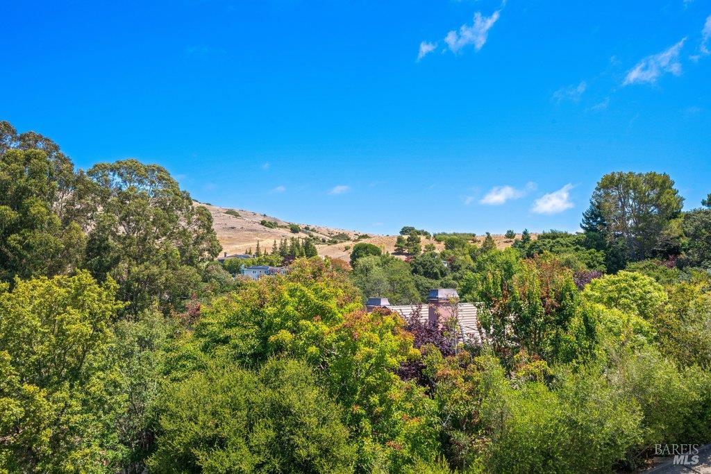 10 Warrens Way Tiburon CA 94920