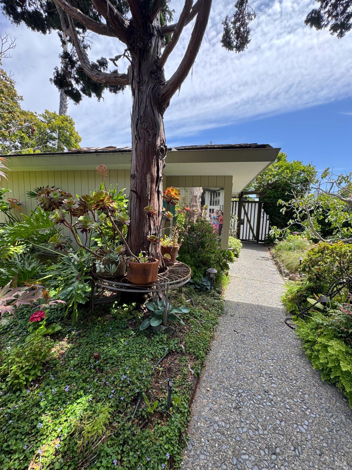 21 Portofino Road San Rafael CA 94901