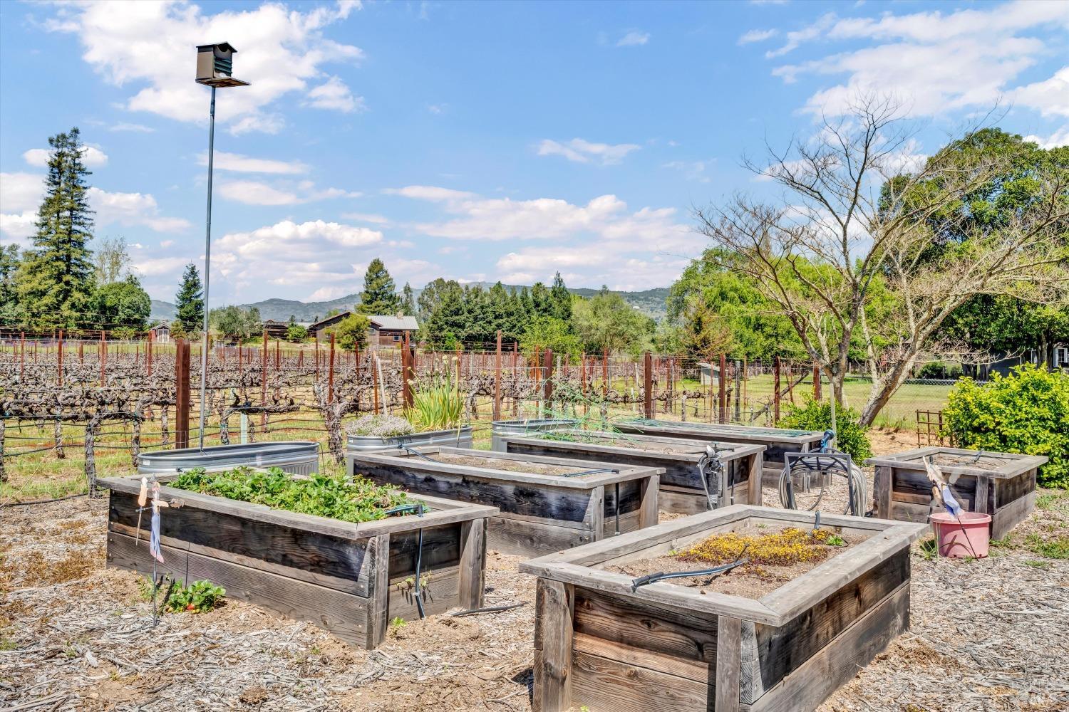 1790 Mckinley Road Napa CA 94558