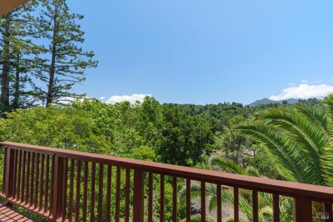 334 Santa Margarita Drive San Rafael CA 94901