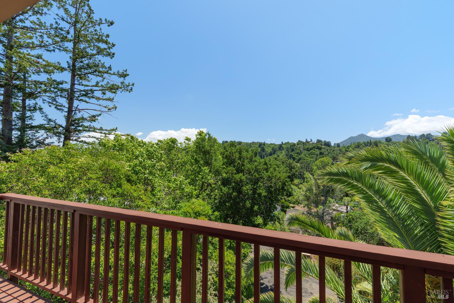 334 Santa Margarita Drive San Rafael CA 94901