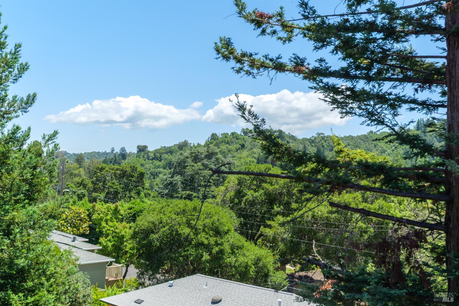 334 Santa Margarita Drive San Rafael CA 94901