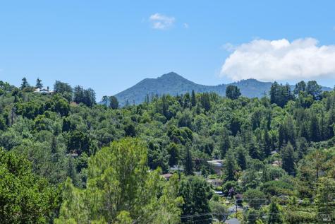 334 Santa Margarita Drive San Rafael CA 94901