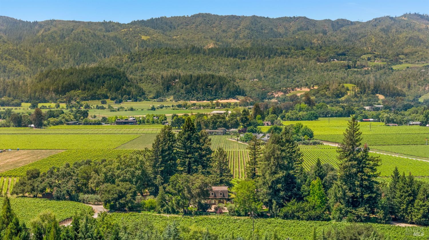 999 Mee Lane St. Helena CA 94574