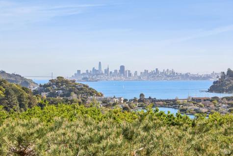 95 Spring Lane Tiburon CA 94920
