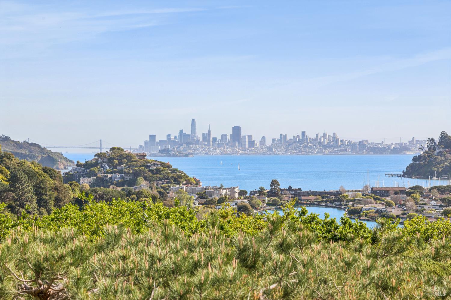 95 Spring Lane Tiburon CA 94920