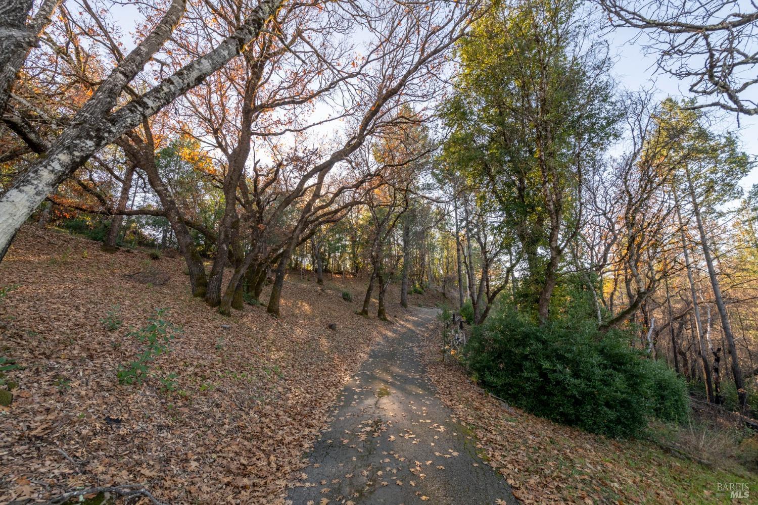 4040 Spring Mountain Road St. Helena CA 94574