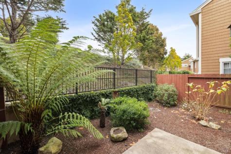 78 Neds Way Tiburon CA 94920