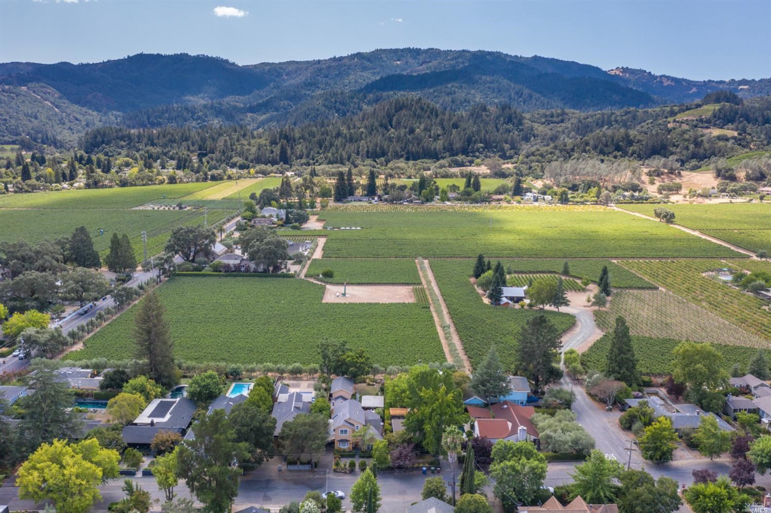 1655 Scott Street St. Helena CA 94574