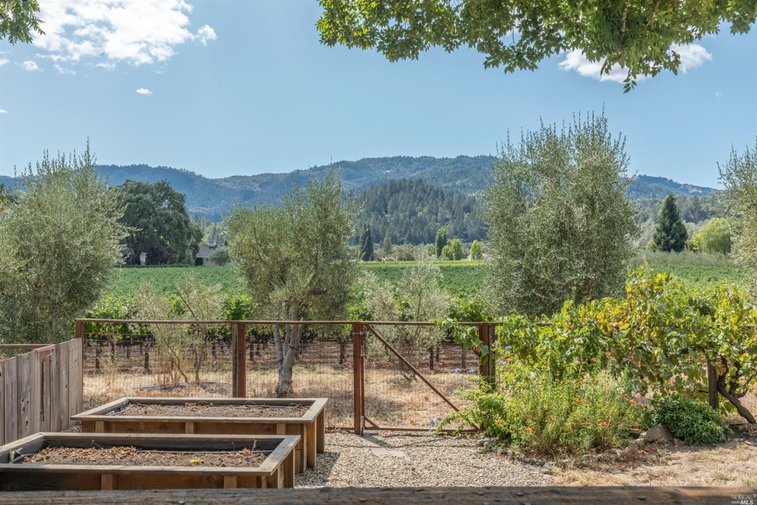 1655 Scott Street St. Helena CA 94574