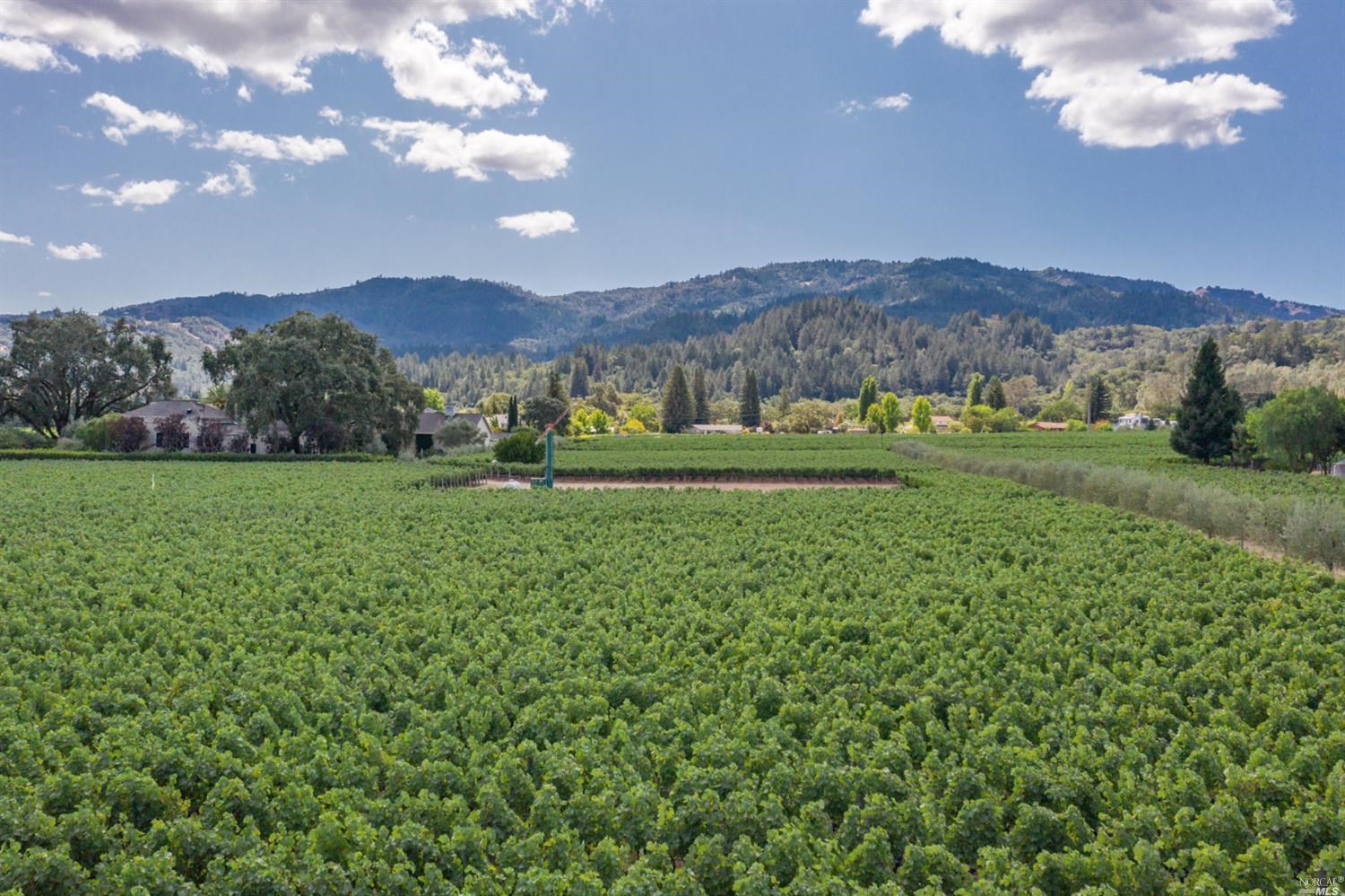 1655 Scott Street St. Helena CA 94574