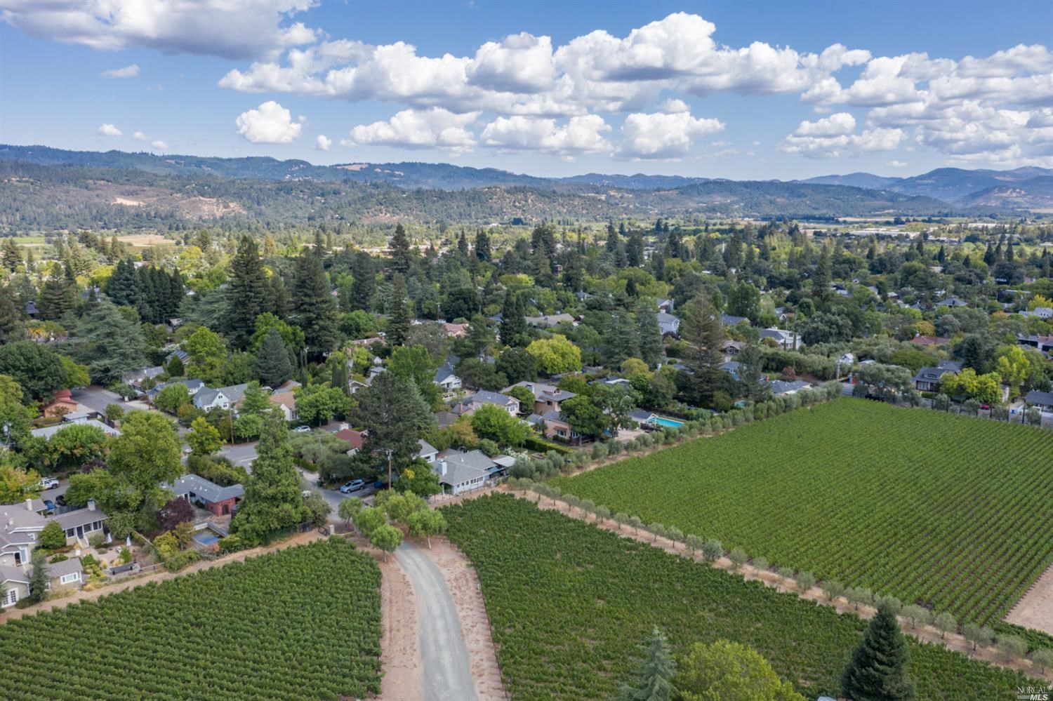 1655 Scott Street St. Helena CA 94574