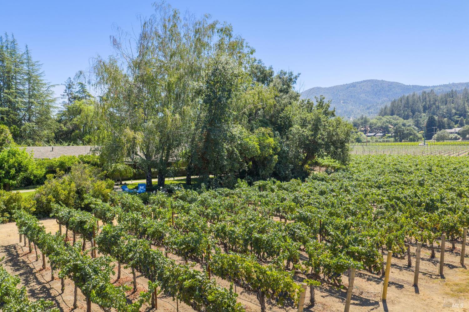 1819 Zinfandel Lane St. Helena CA 94574