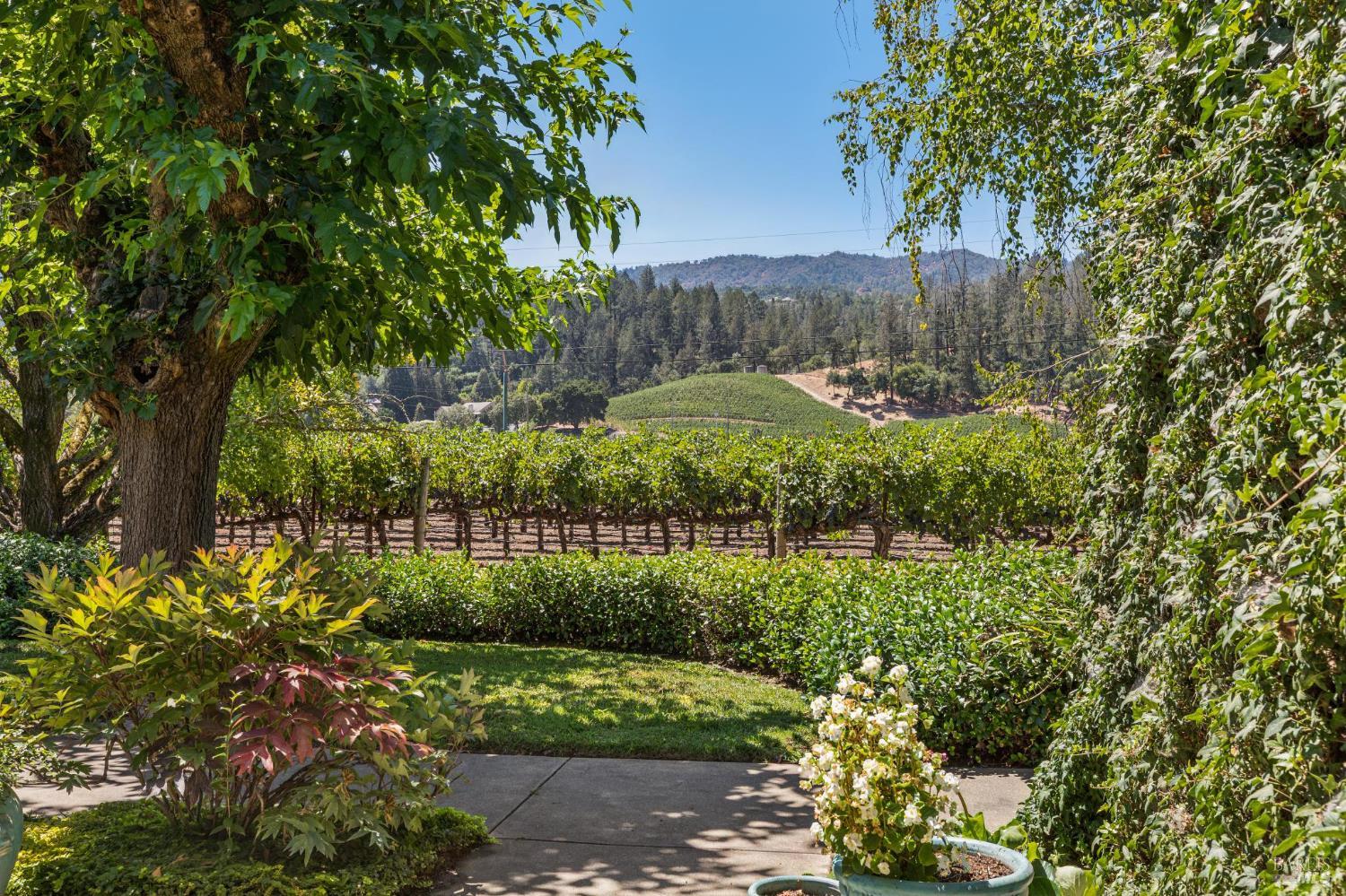 1819 Zinfandel Lane St. Helena CA 94574
